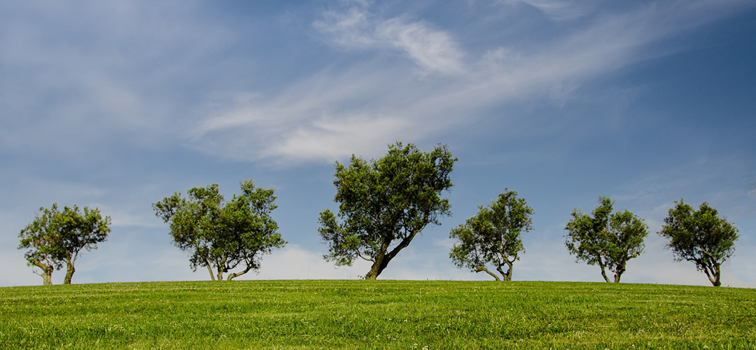 Energy and environmental certificates and labels